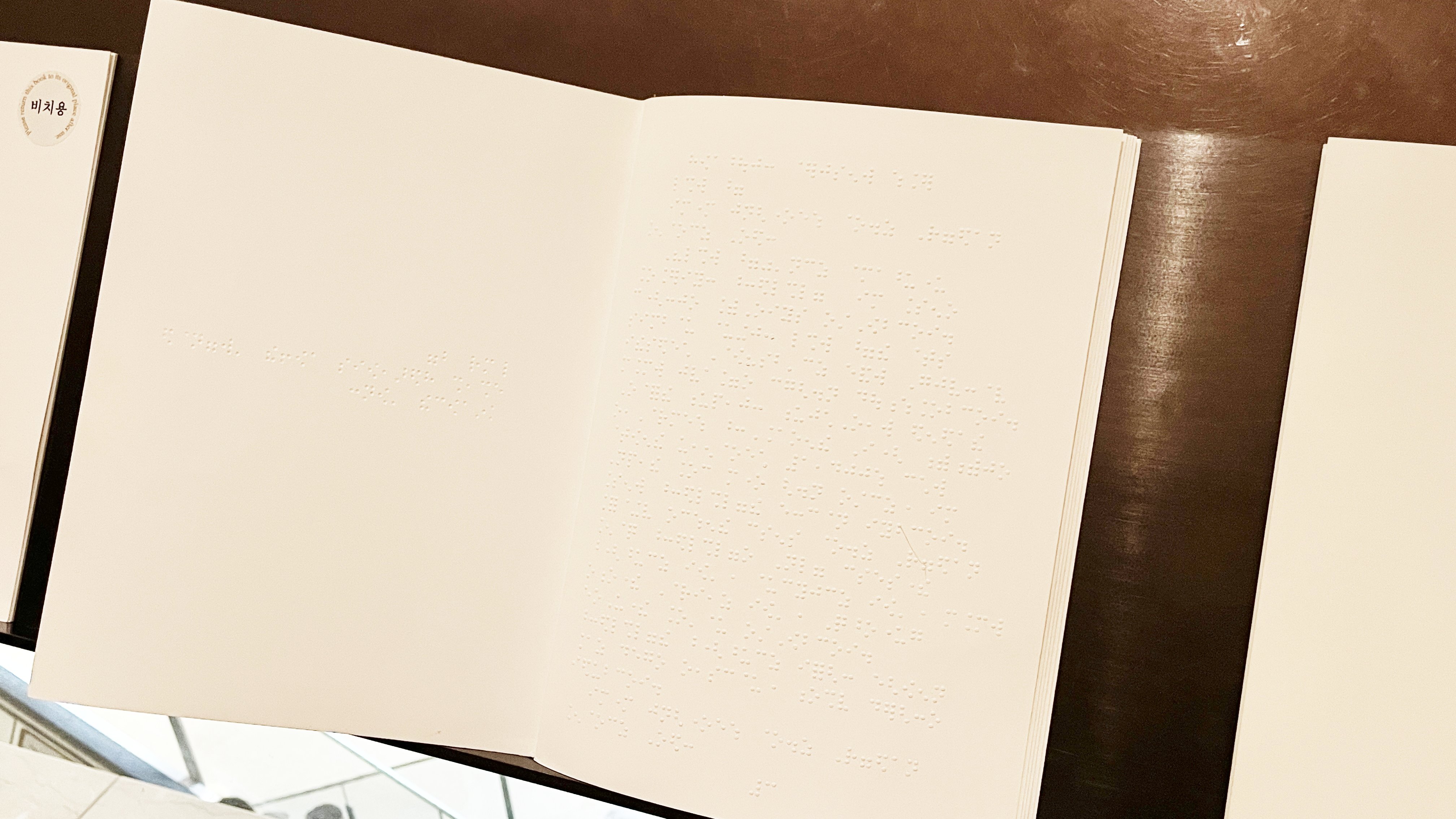 점자 설명책 이미지